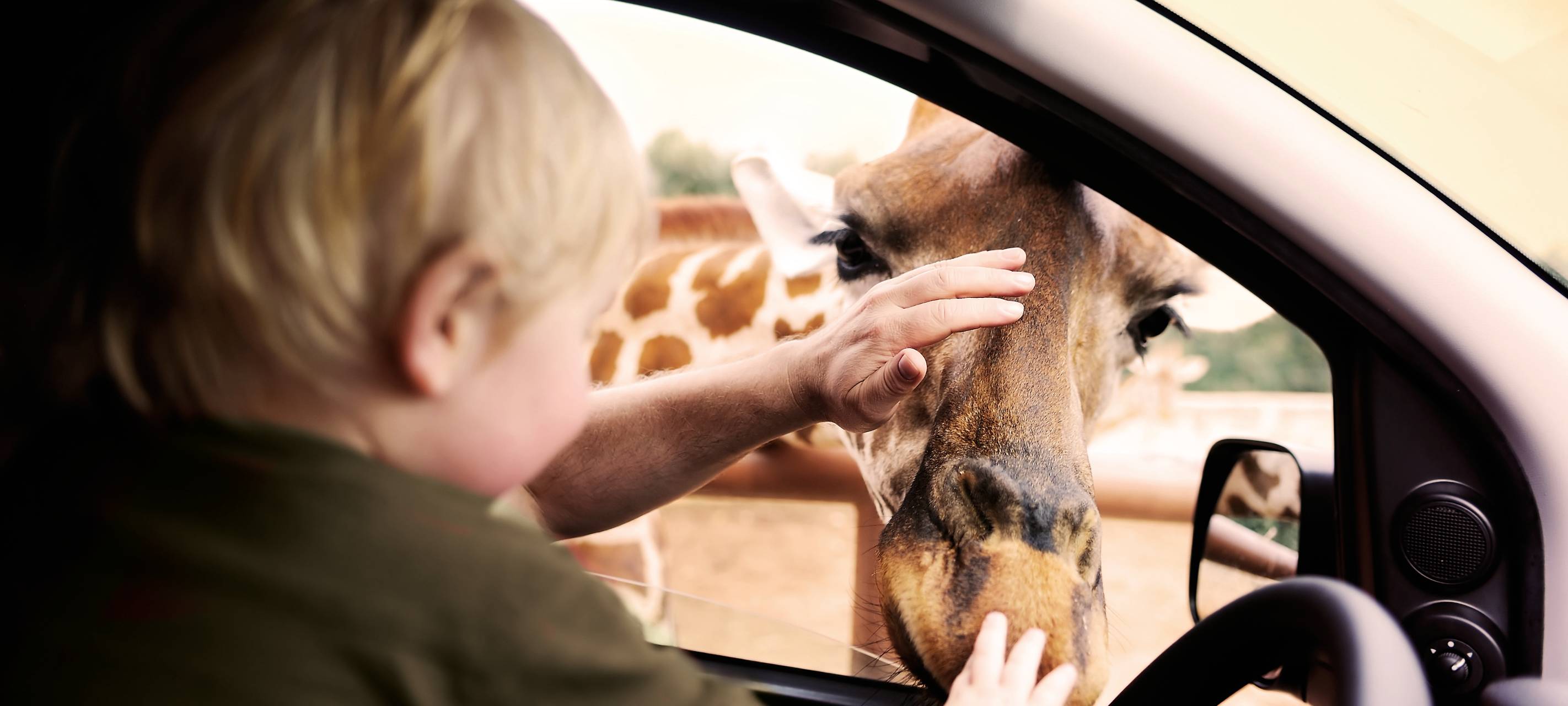 #1 Safariland Stukenbrock