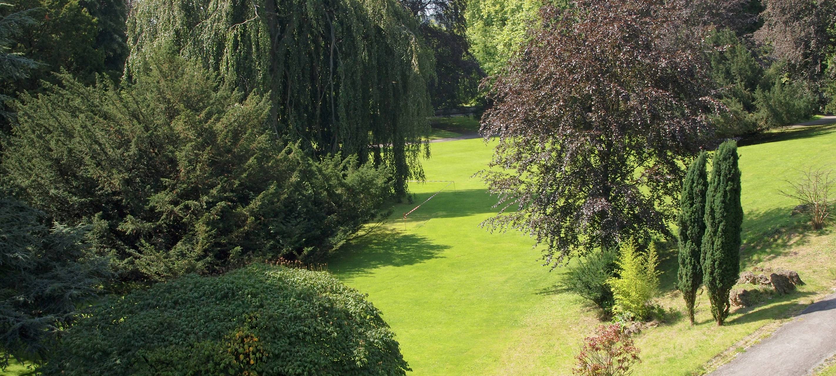 Baumschutzsatzung beschlossen