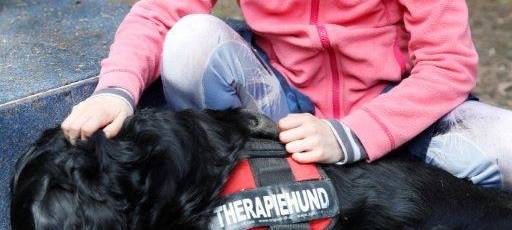 Lichtblickesterne auf dem Weihnachtsmarkt - senationelles Ergebnis!