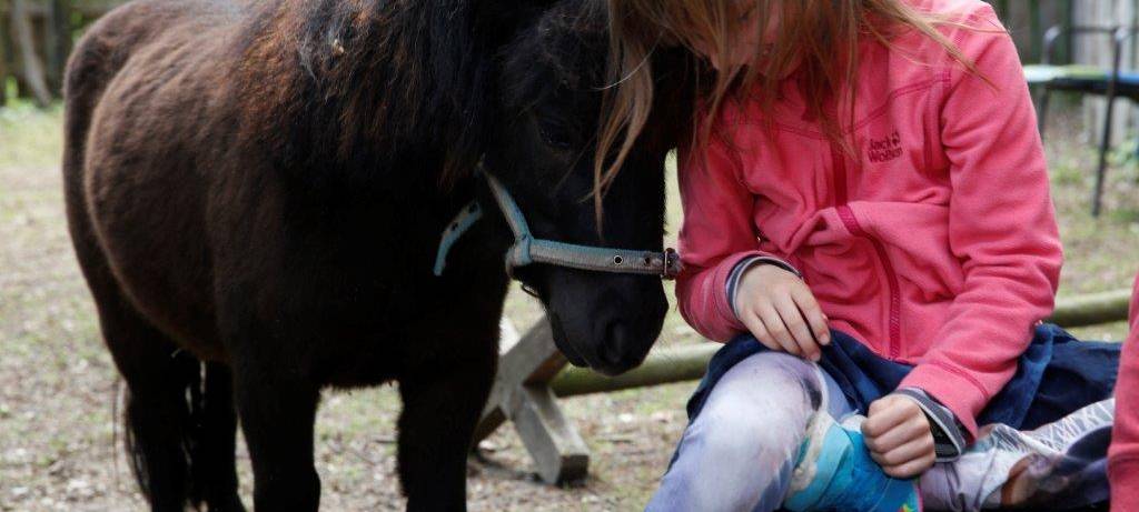 Lichtblickesterne auf dem Weihnachtsmarkt - senationelles Ergebnis!