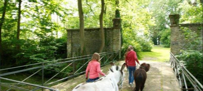 Lichtblickesterne auf dem Weihnachtsmarkt - senationelles Ergebnis!