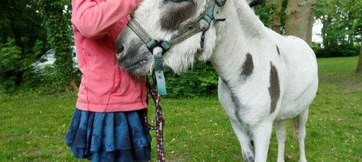 Lichtblickesterne auf dem Weihnachtsmarkt - senationelles Ergebnis!