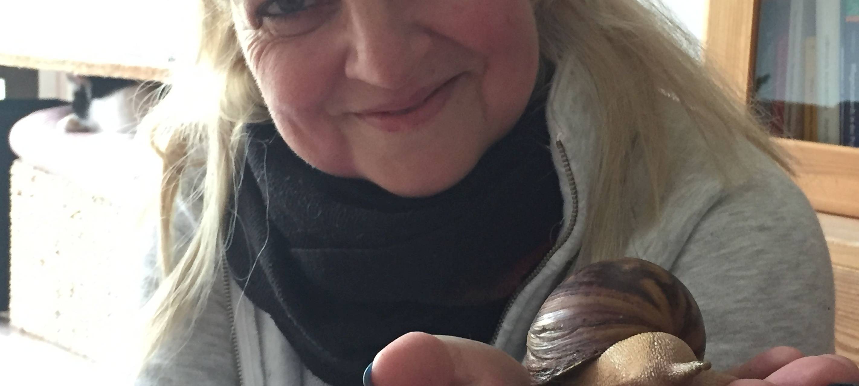 Lichtblickesterne auf dem Weihnachtsmarkt - senationelles Ergebnis!