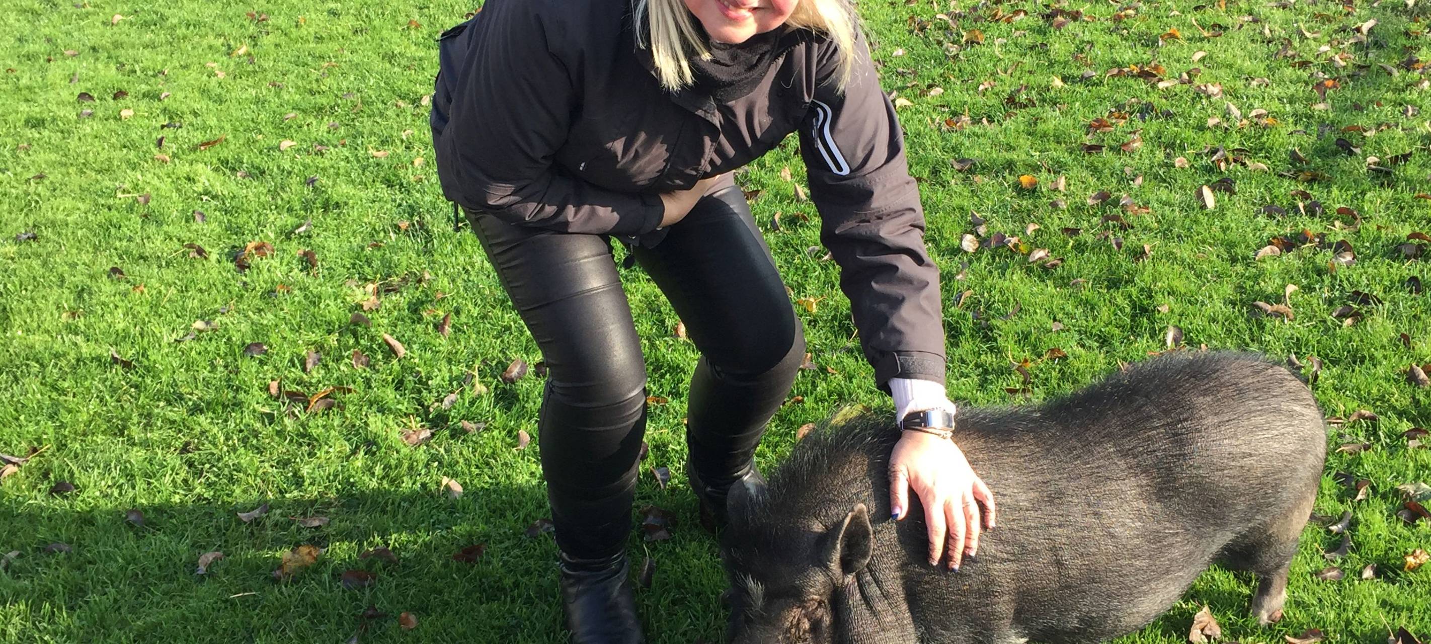 Lichtblickesterne auf dem Weihnachtsmarkt - senationelles Ergebnis!