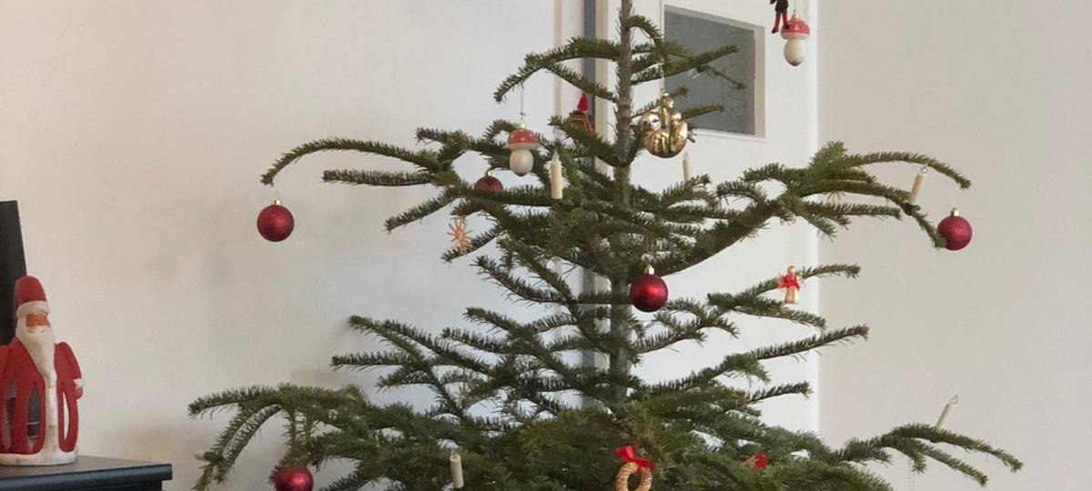 Weihnachtsbäume werden abgeholt