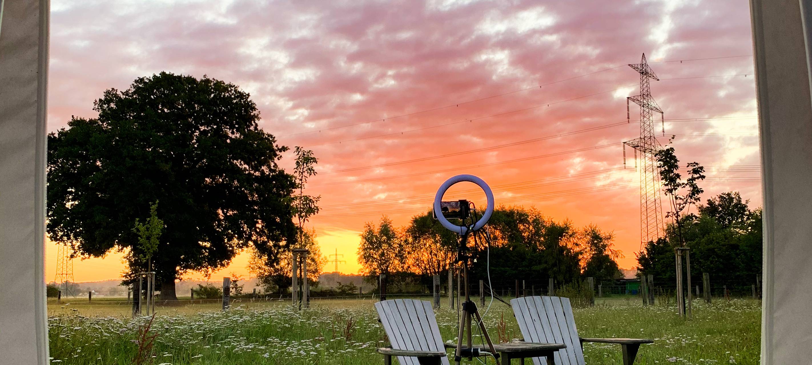 Übernachtung mit Eseln: Sleeperoo im Test