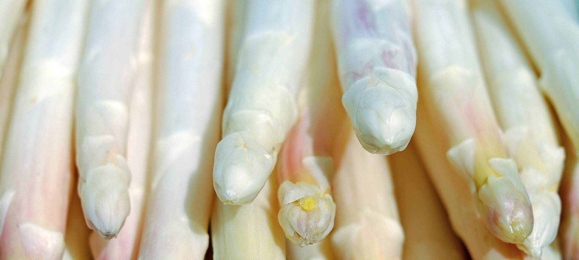 Hamm startet in die Spargelzeit