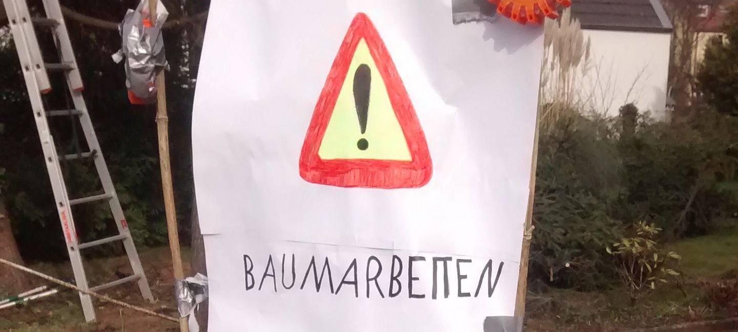 Bäume in Hamm werden mehr geschützt