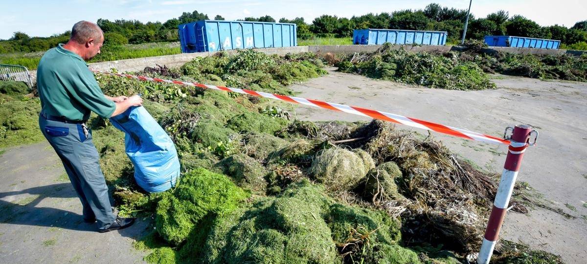Grünabfall auf dem Recyclinghof im Hammer Westen
