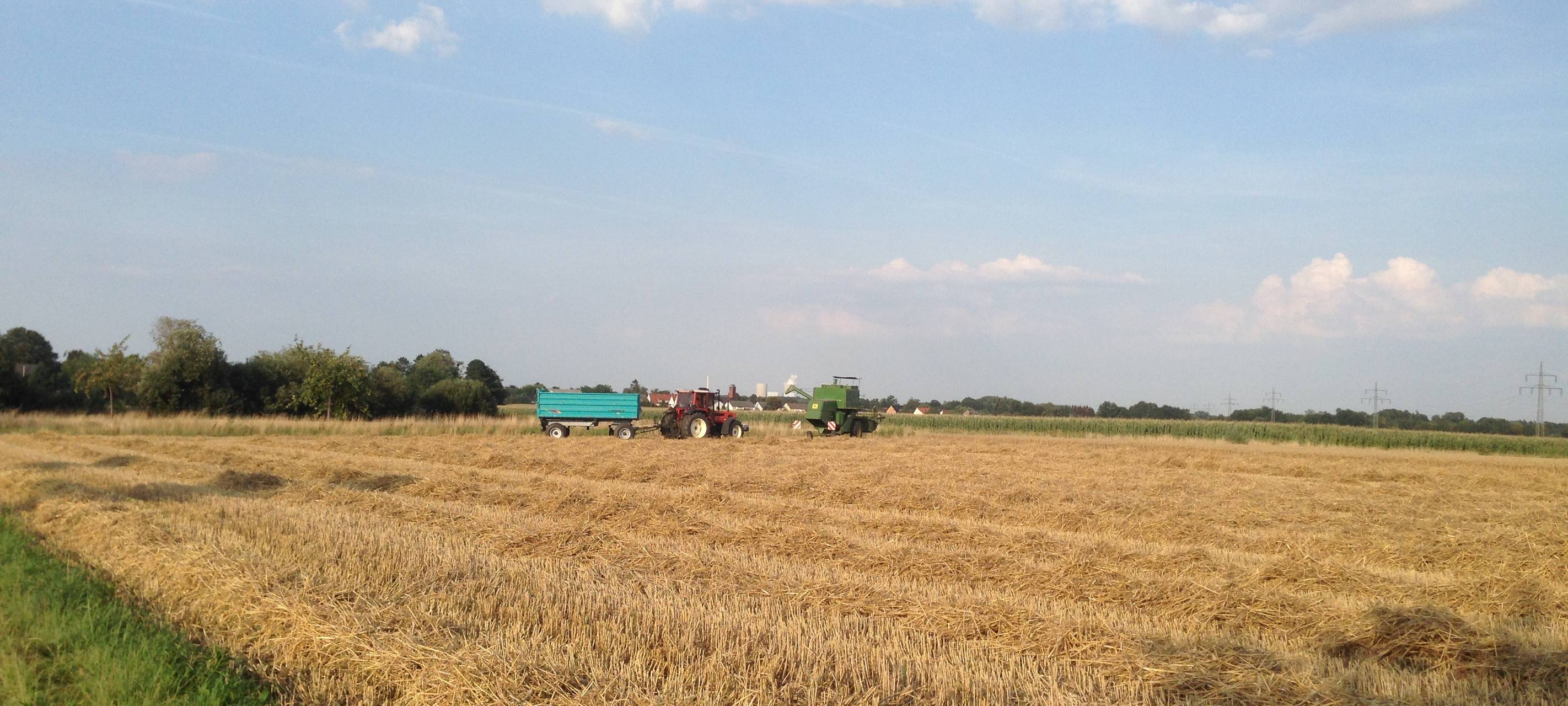 Viel Regen: Durchwachsene Ernte für Landwirte in Hamm