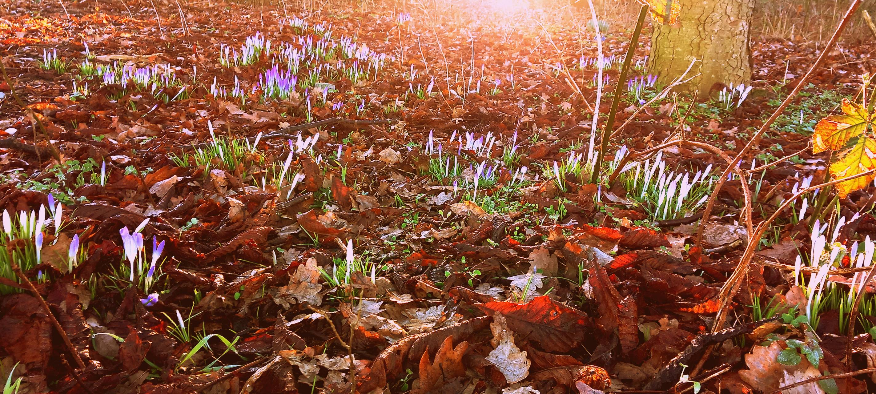 #soschönisthamm im Jahr 2023 - die schönsten Fotos