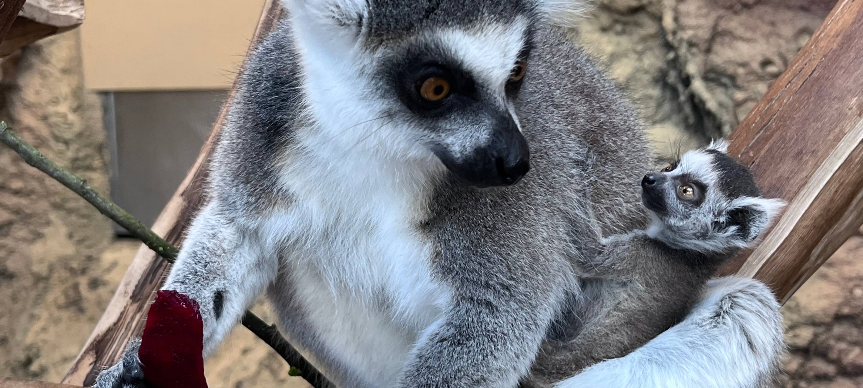 Tierpark in Hamm mit vielen Highlights in 2024