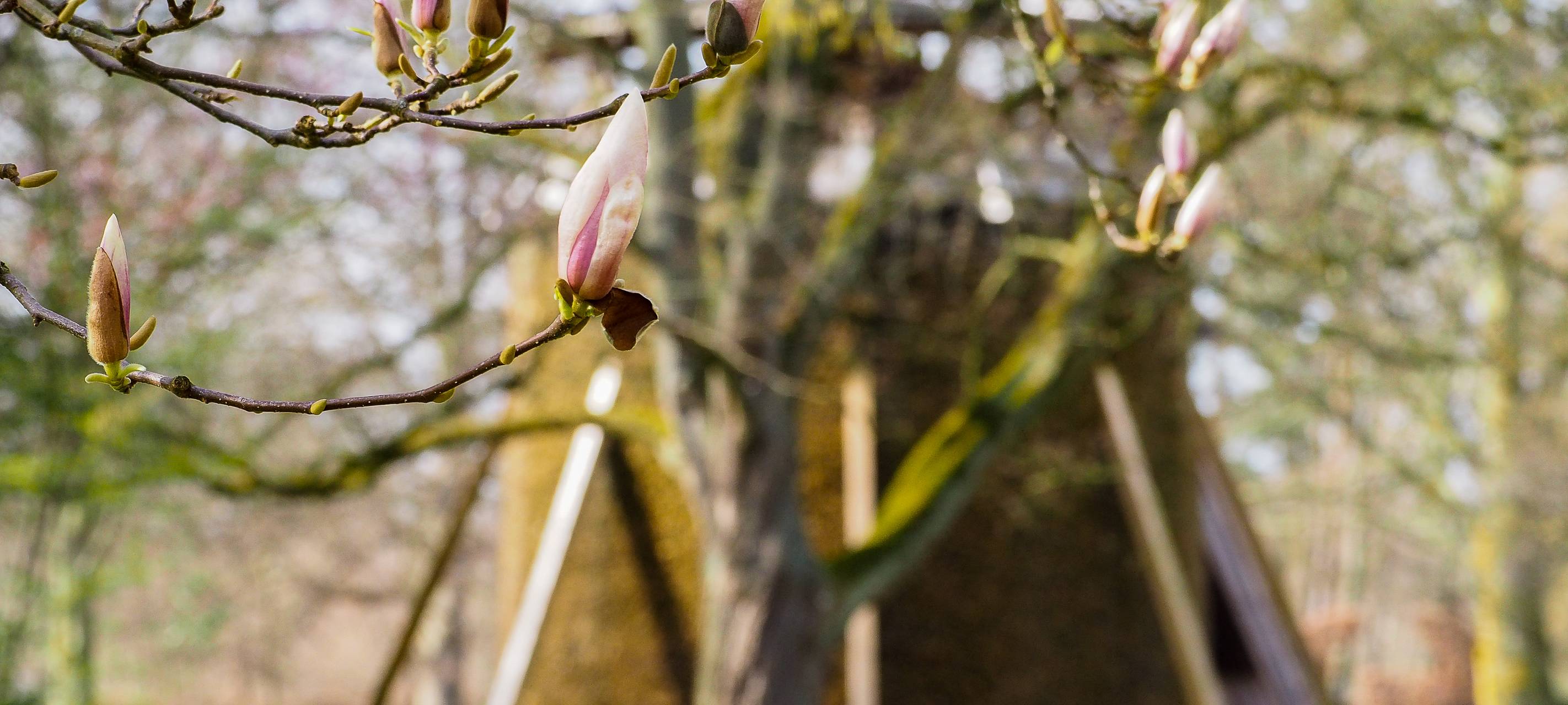 #soschönisthamm im Jahr 2023 - die schönsten Fotos