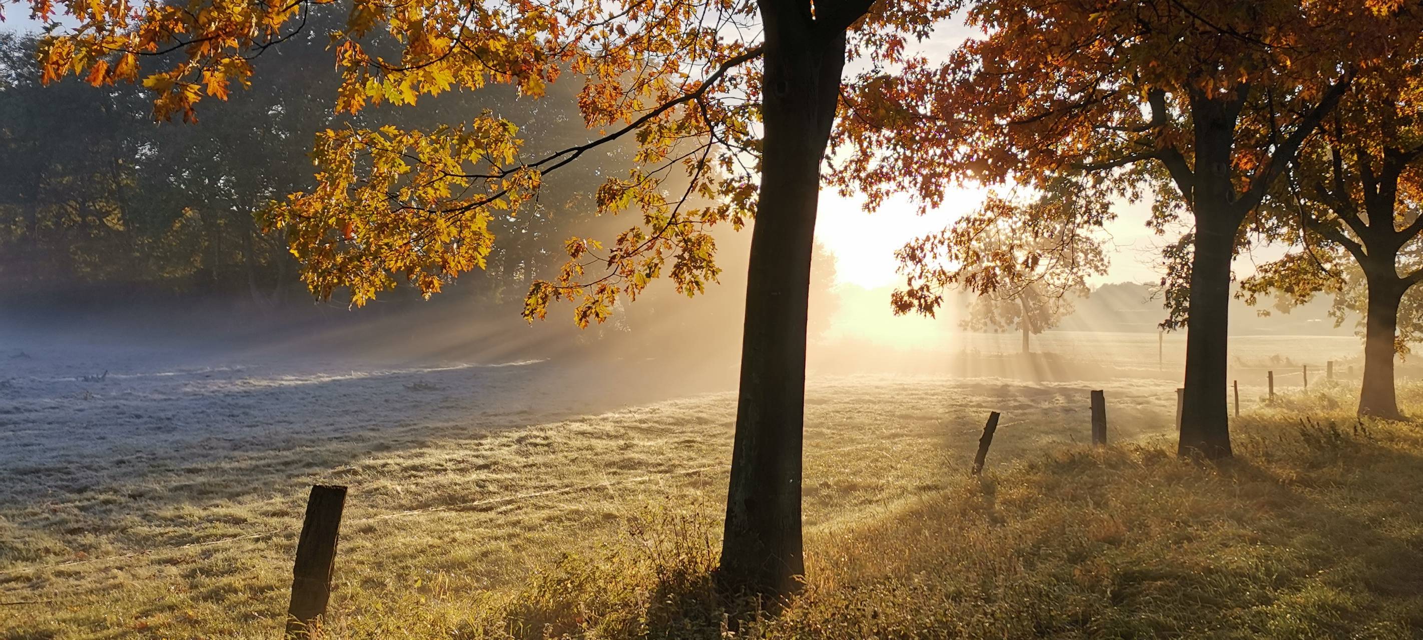 #soschönisthamm im Jahr 2023 - die schönsten Fotos