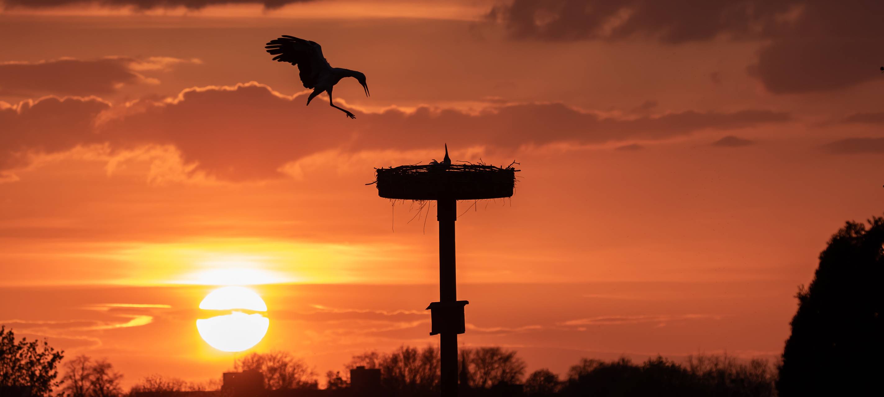 #soschönisthamm im Jahr 2023 - die schönsten Fotos