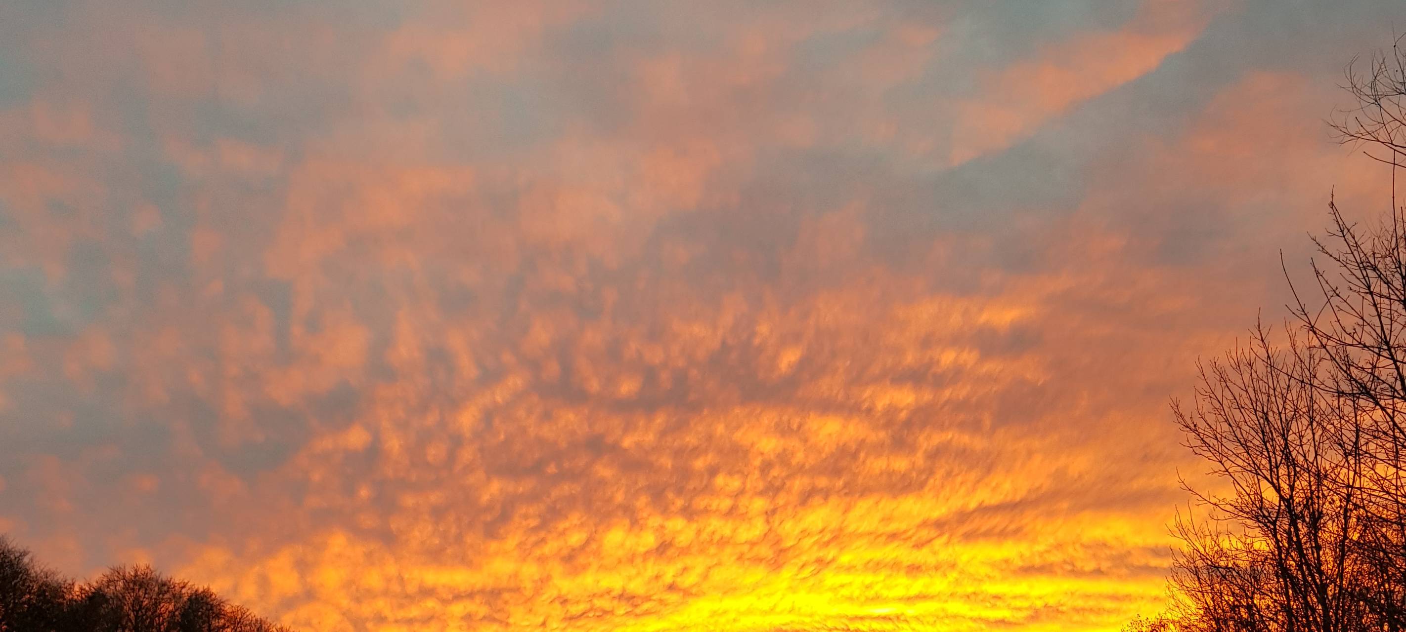 #soschönisthamm im Jahr 2023 - die schönsten Fotos