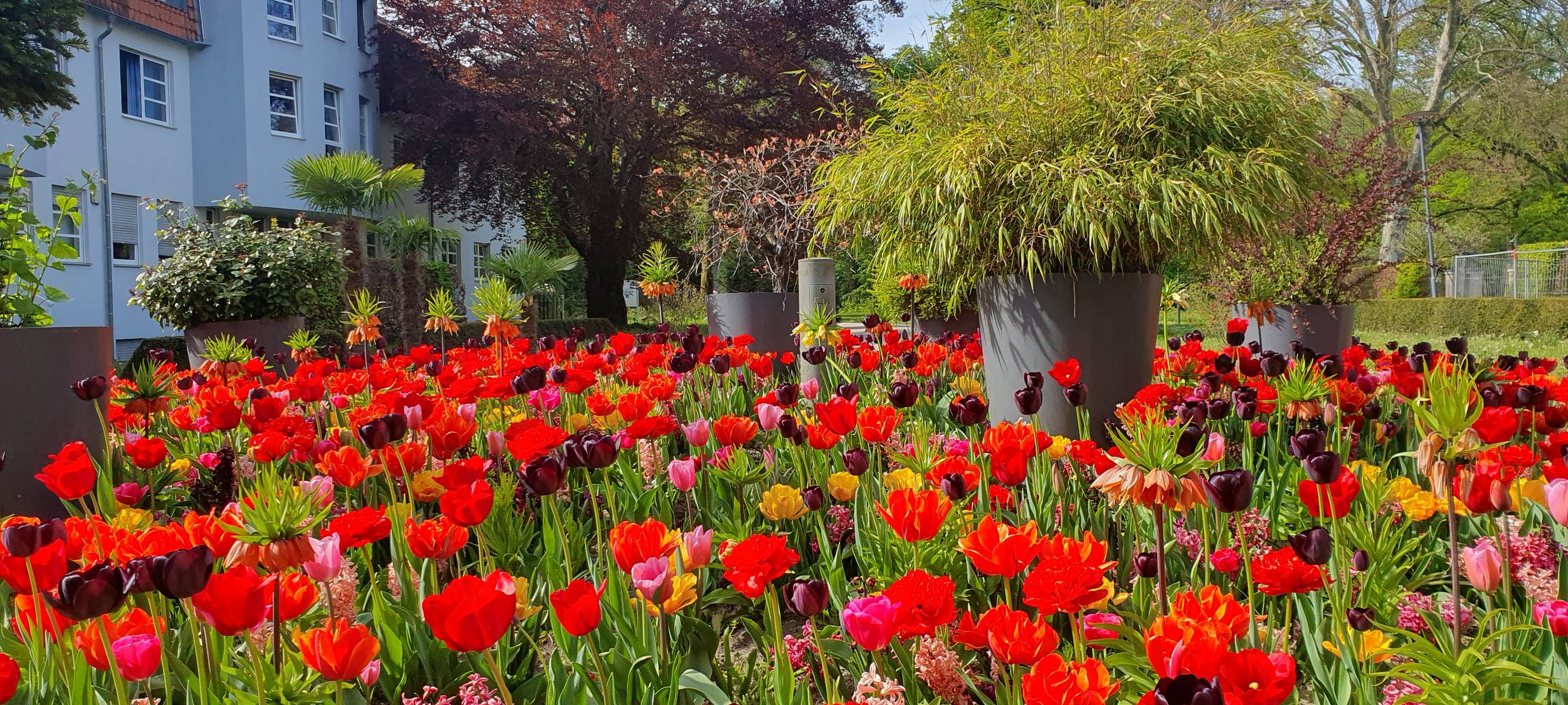 #soschönisthamm im Jahr 2023 - die schönsten Fotos