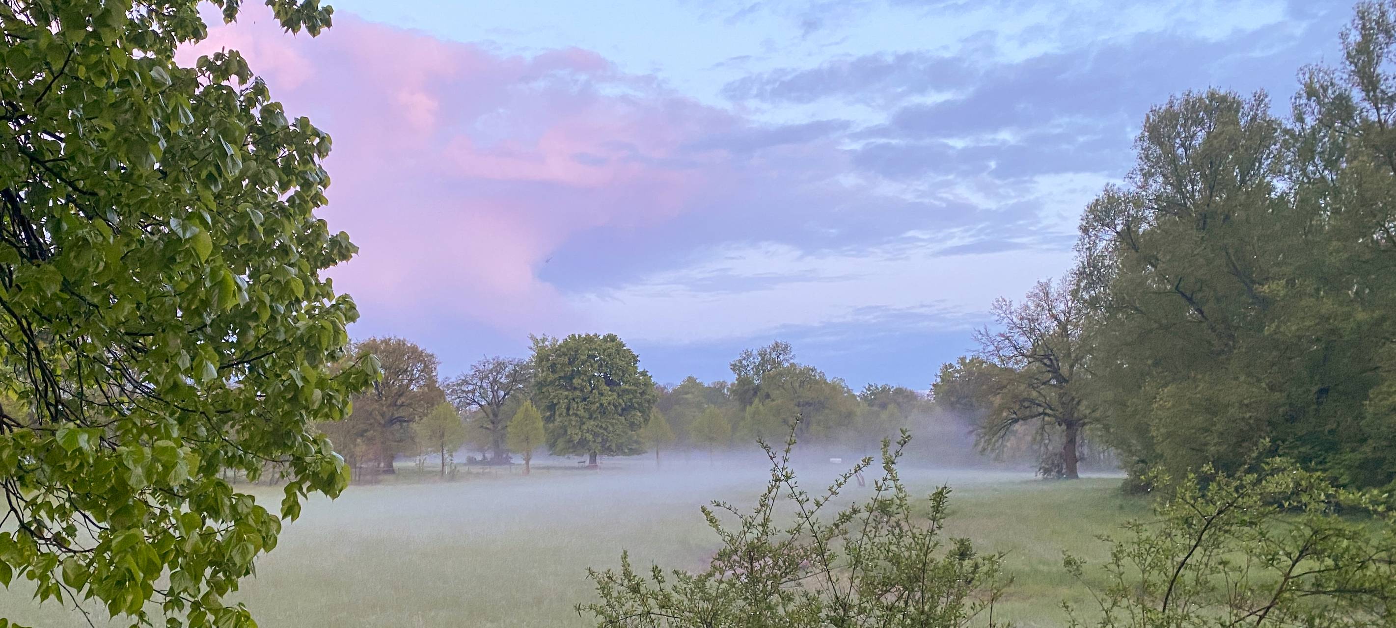 #soschönisthamm im Jahr 2023 - die schönsten Fotos