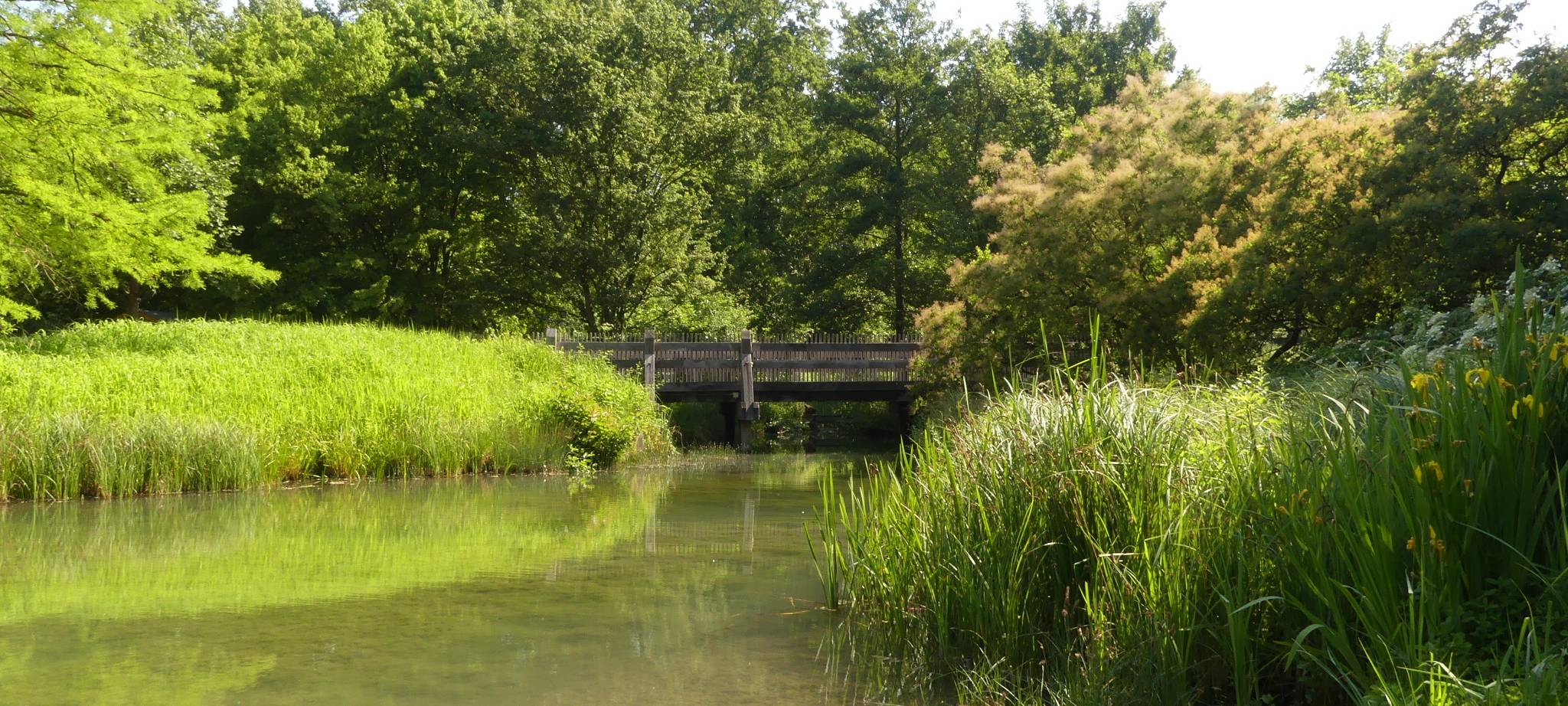 #soschönisthamm im Jahr 2023 - die schönsten Fotos