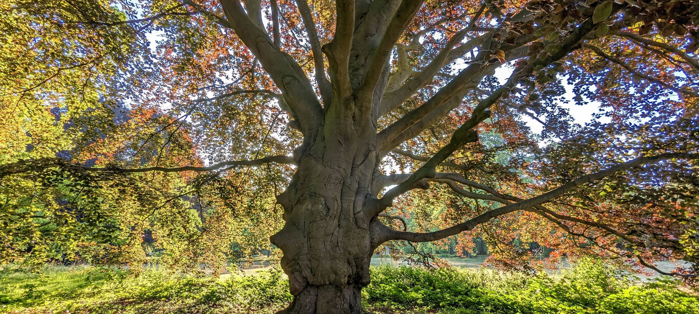 #soschönisthamm im Jahr 2023 - die schönsten Fotos