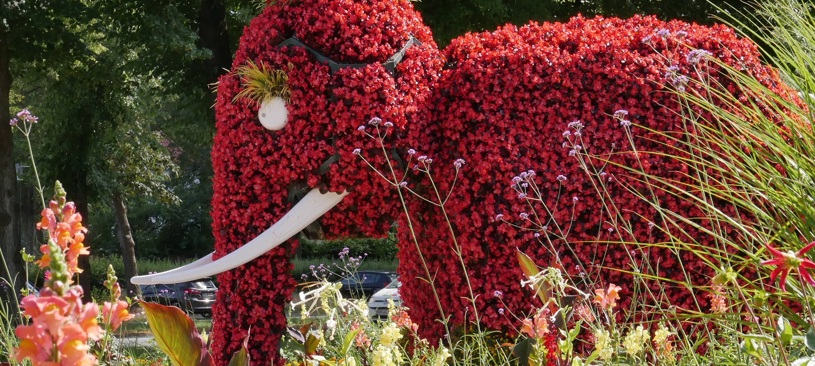 #soschönisthamm im Jahr 2023 - die schönsten Fotos