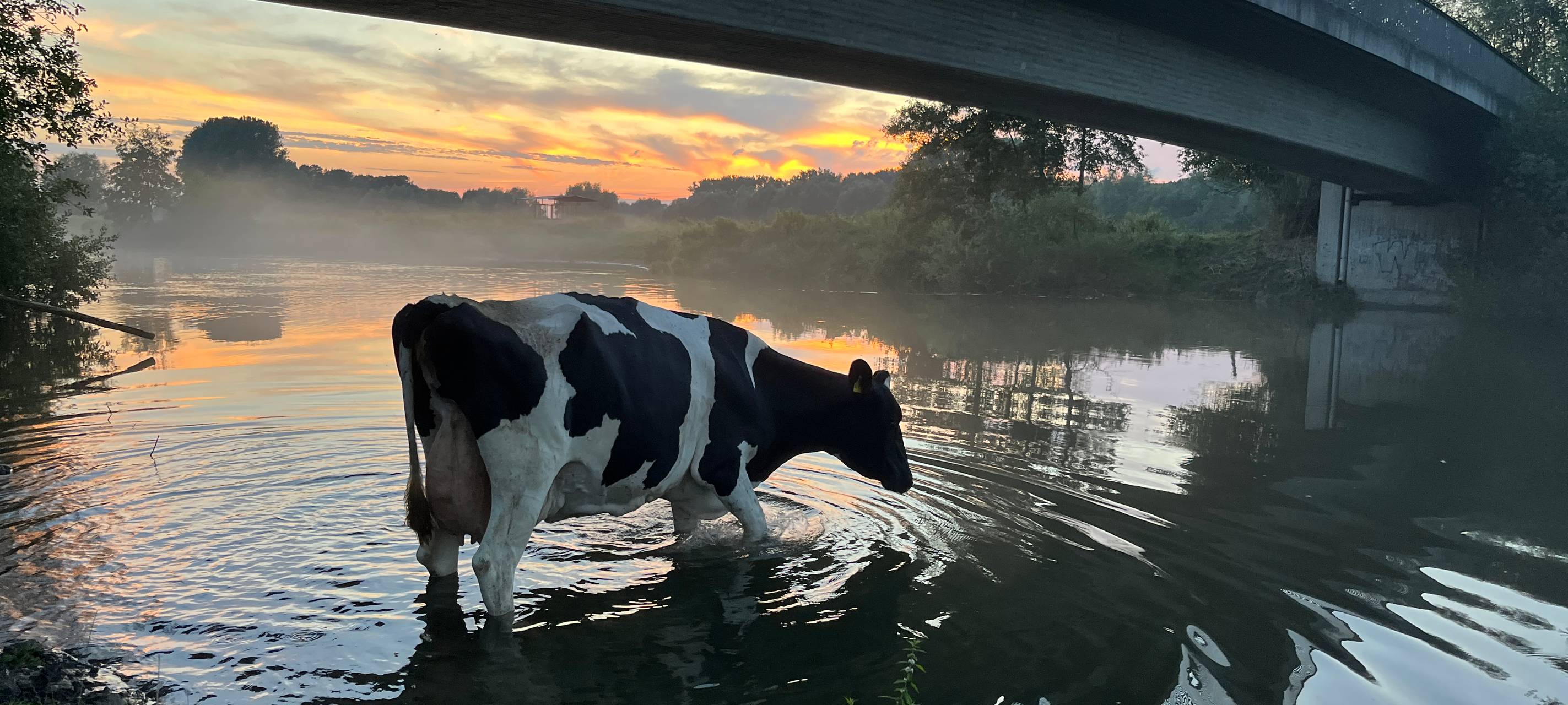 #soschönisthamm im Jahr 2023 - die schönsten Fotos