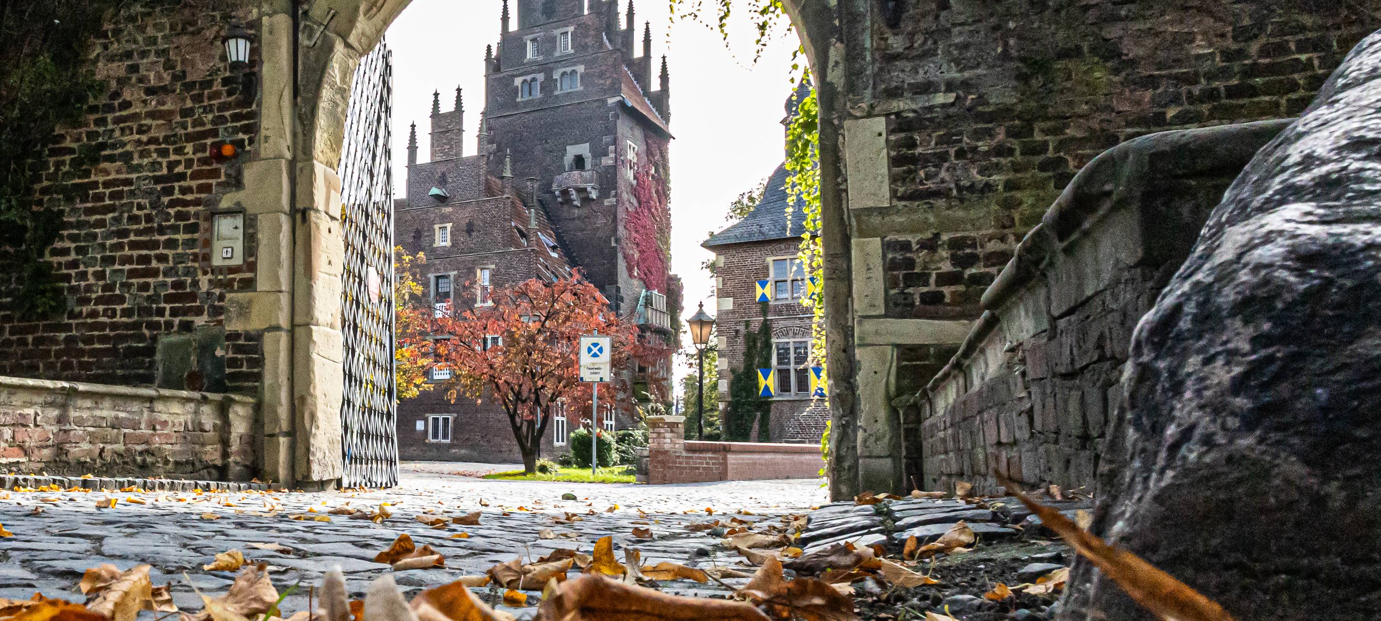 #soschönisthamm im Jahr 2023 - die schönsten Fotos