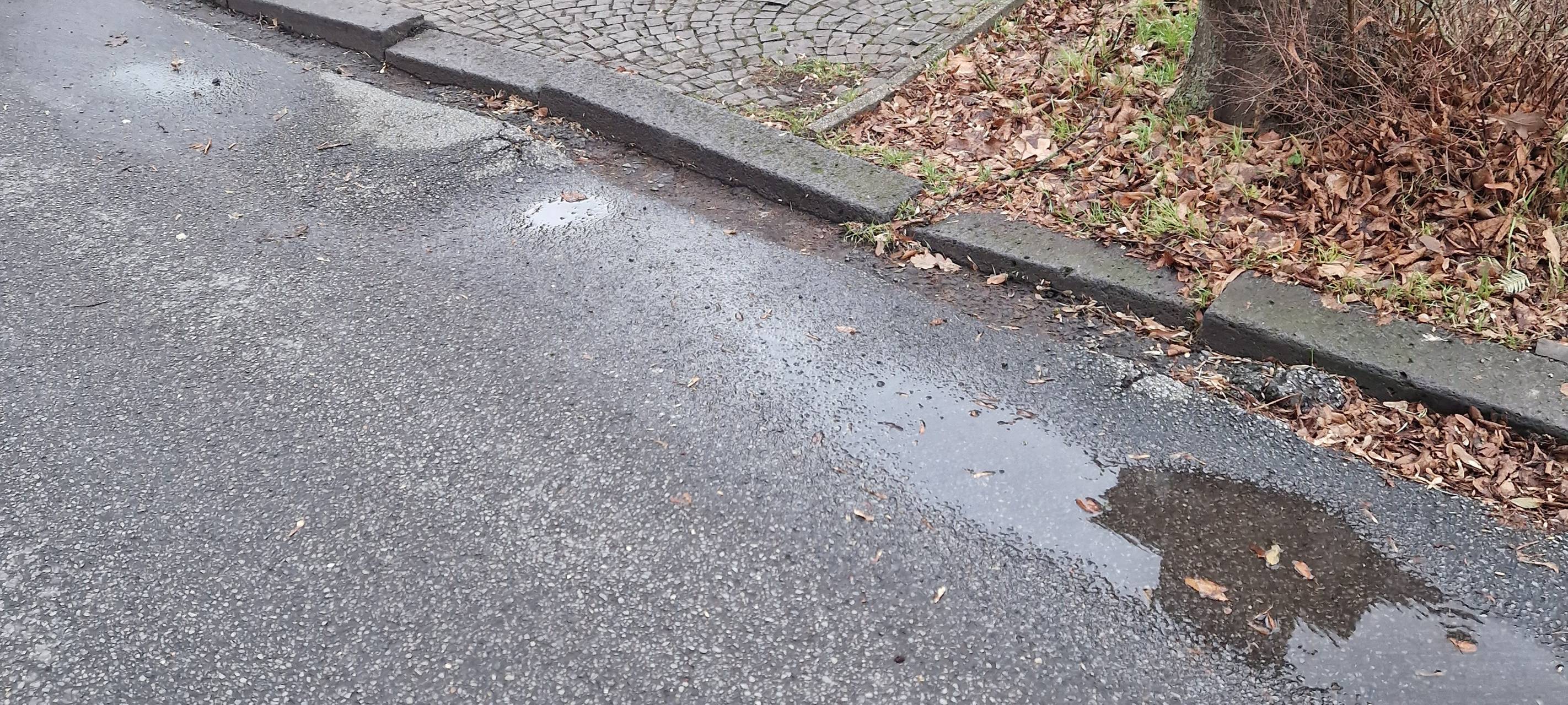 Straßenbegeher suchen nach kaputten Straßen in Hamm