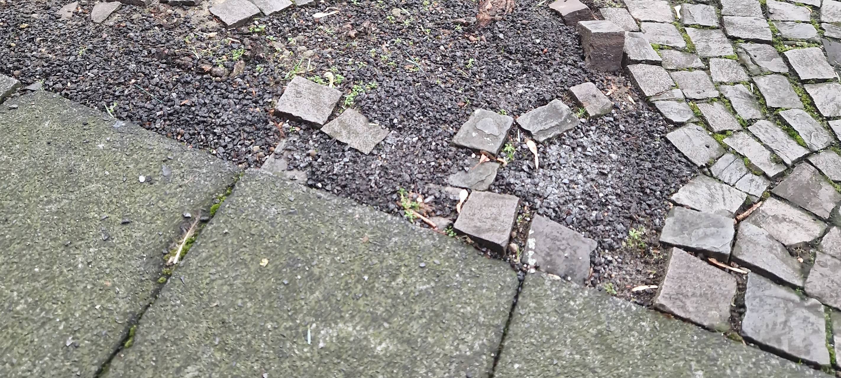 Straßenbegeher suchen nach kaputten Straßen in Hamm