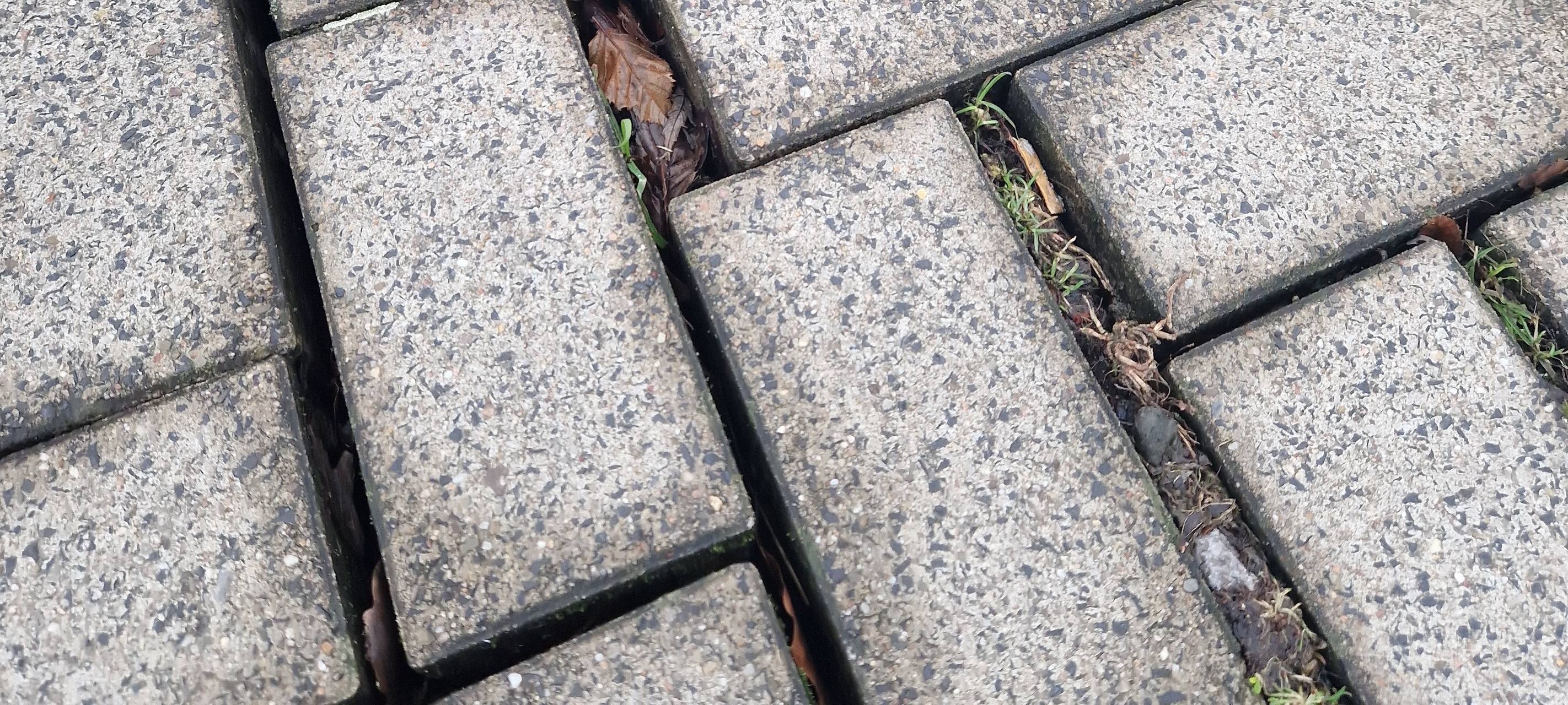 Straßenbegeher suchen nach kaputten Straßen in Hamm