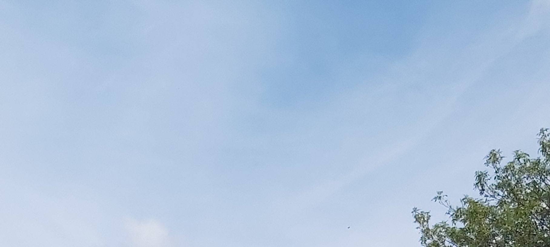 Wahlplakate am Nordenwall