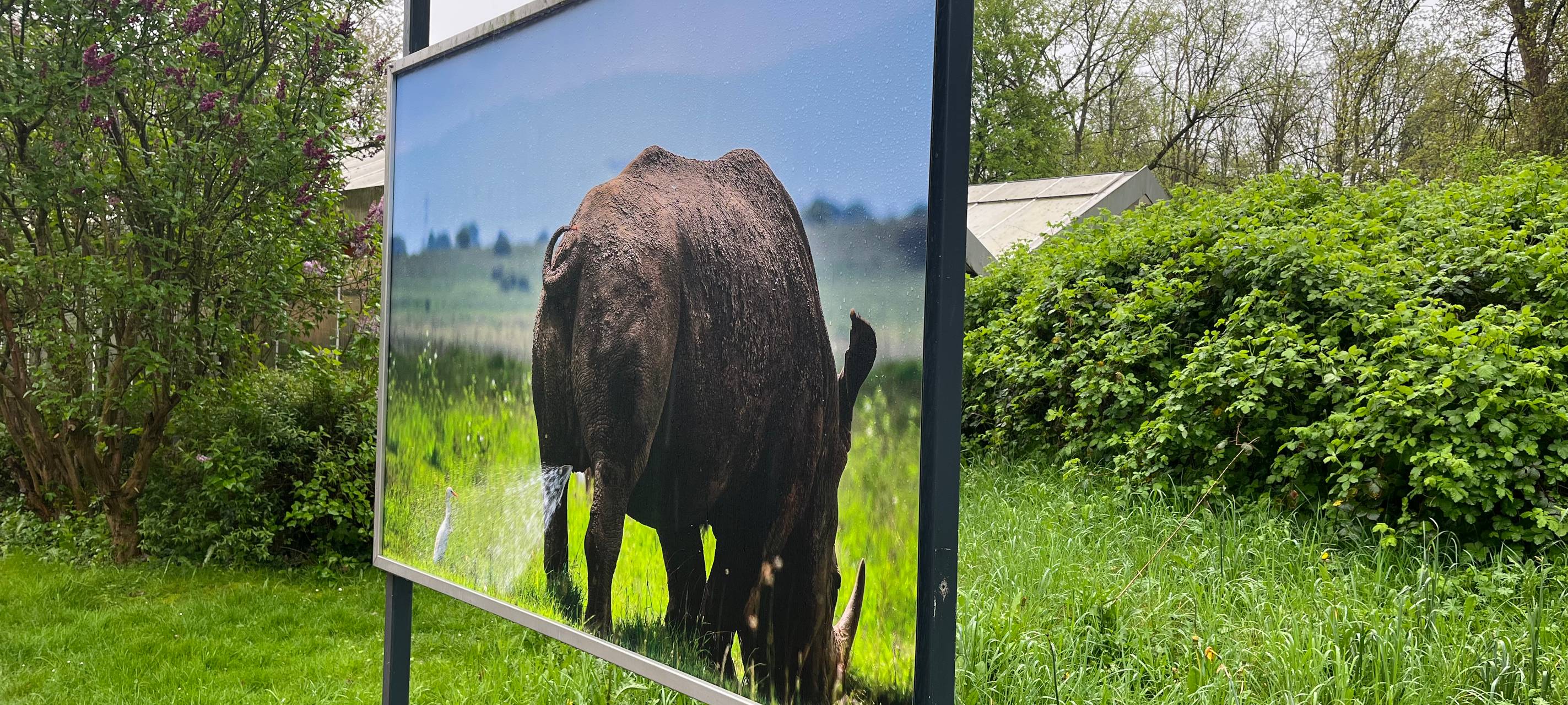 Maxipark Hamm zeigt lustige Tierfotos in neuer Ausstellung