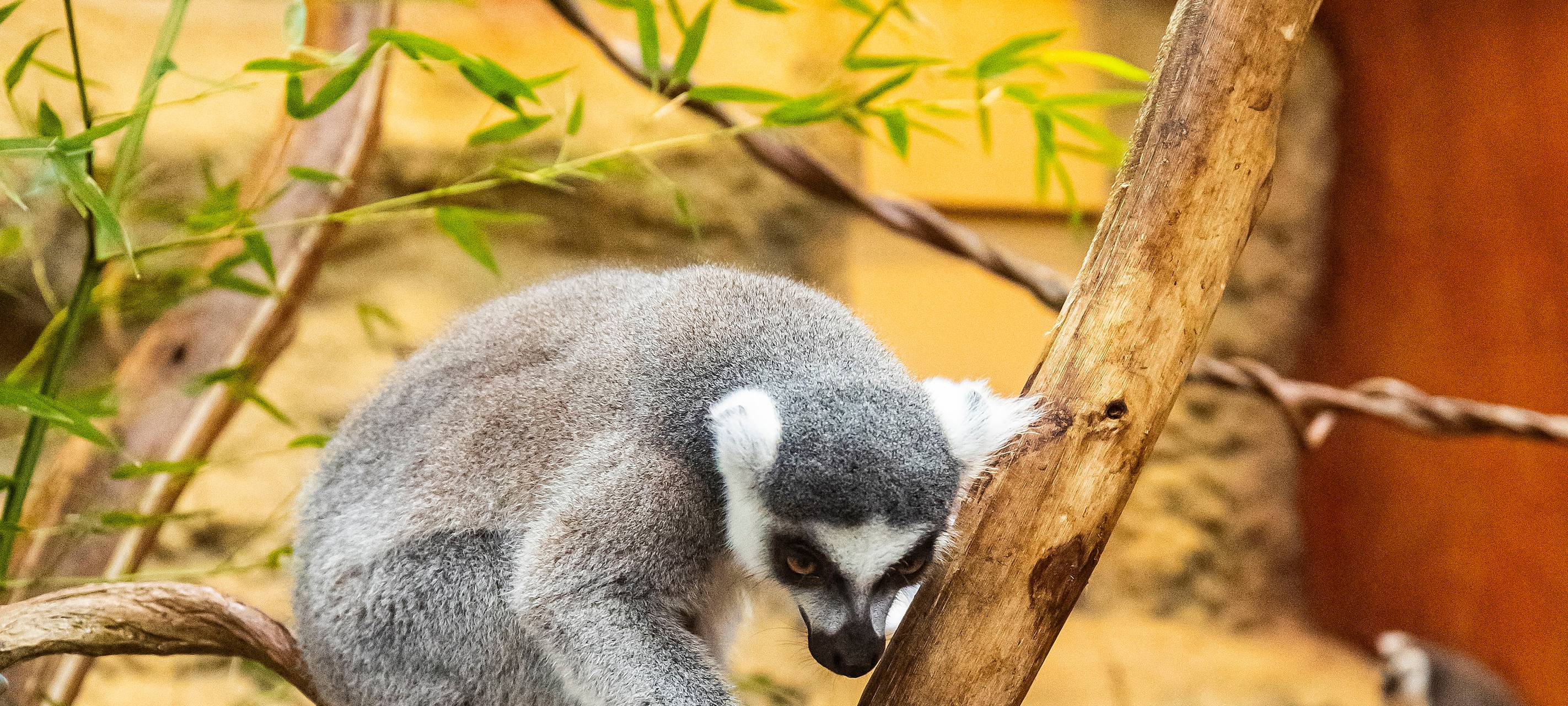 Tierpark Hamm feiert 90. Geburtstag