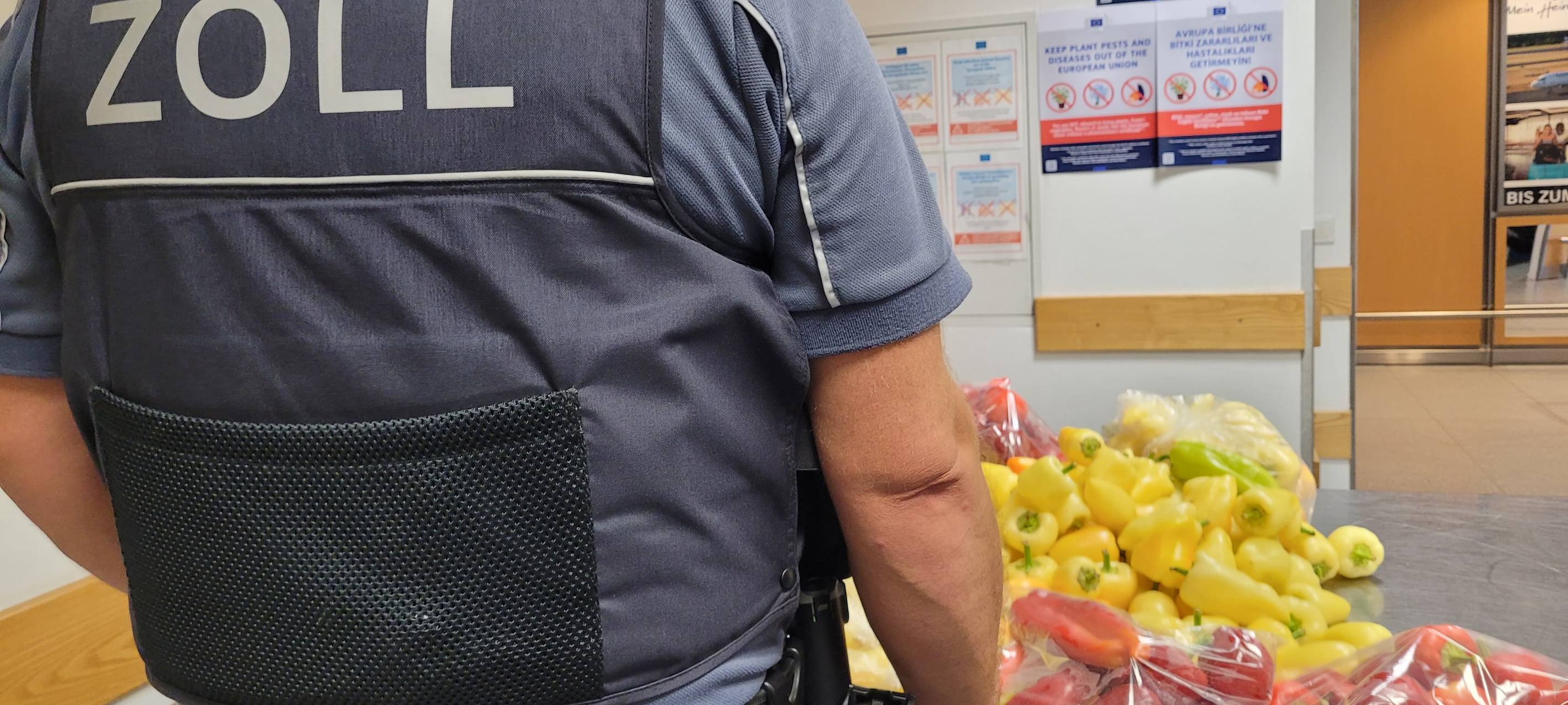 Der Zoll am Flughafen Paderborn-Lippstadt beschlagnahmt 30 Kilogramm Paprika.