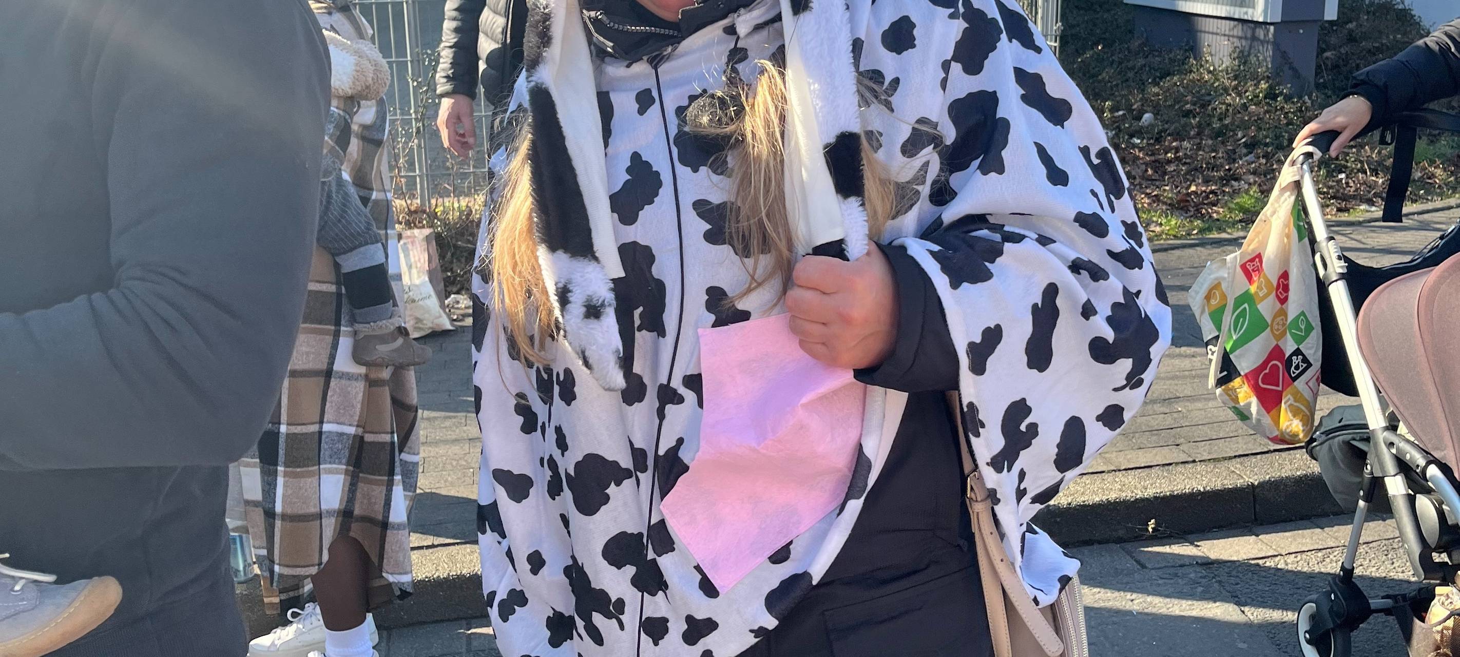 Rosenmontagszug in Hamm