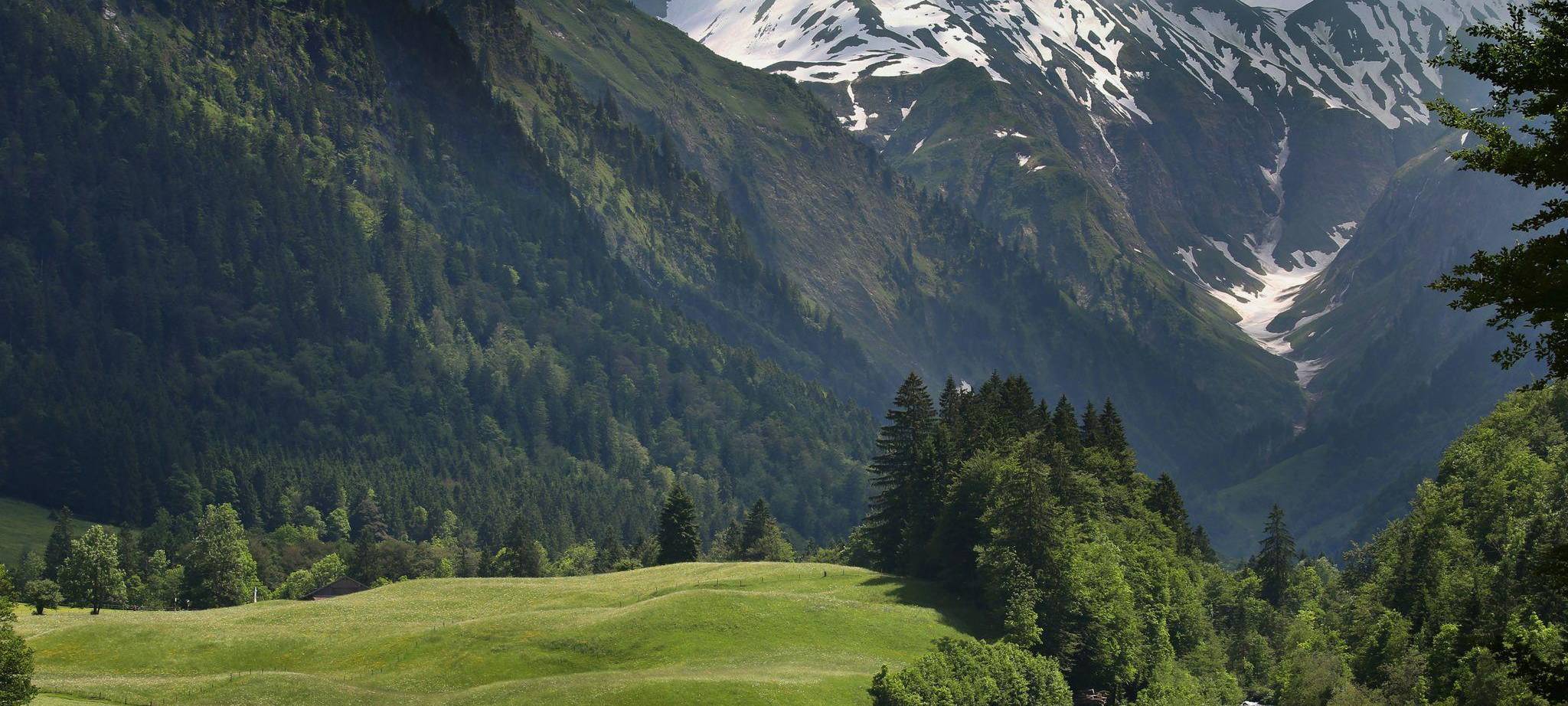 Oberallgäu
